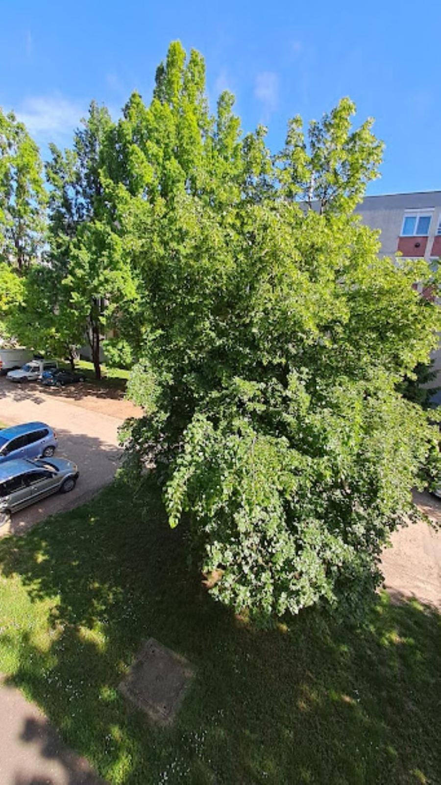 Hajdúszoboszló Szilfak City Apartman מראה חיצוני תמונה